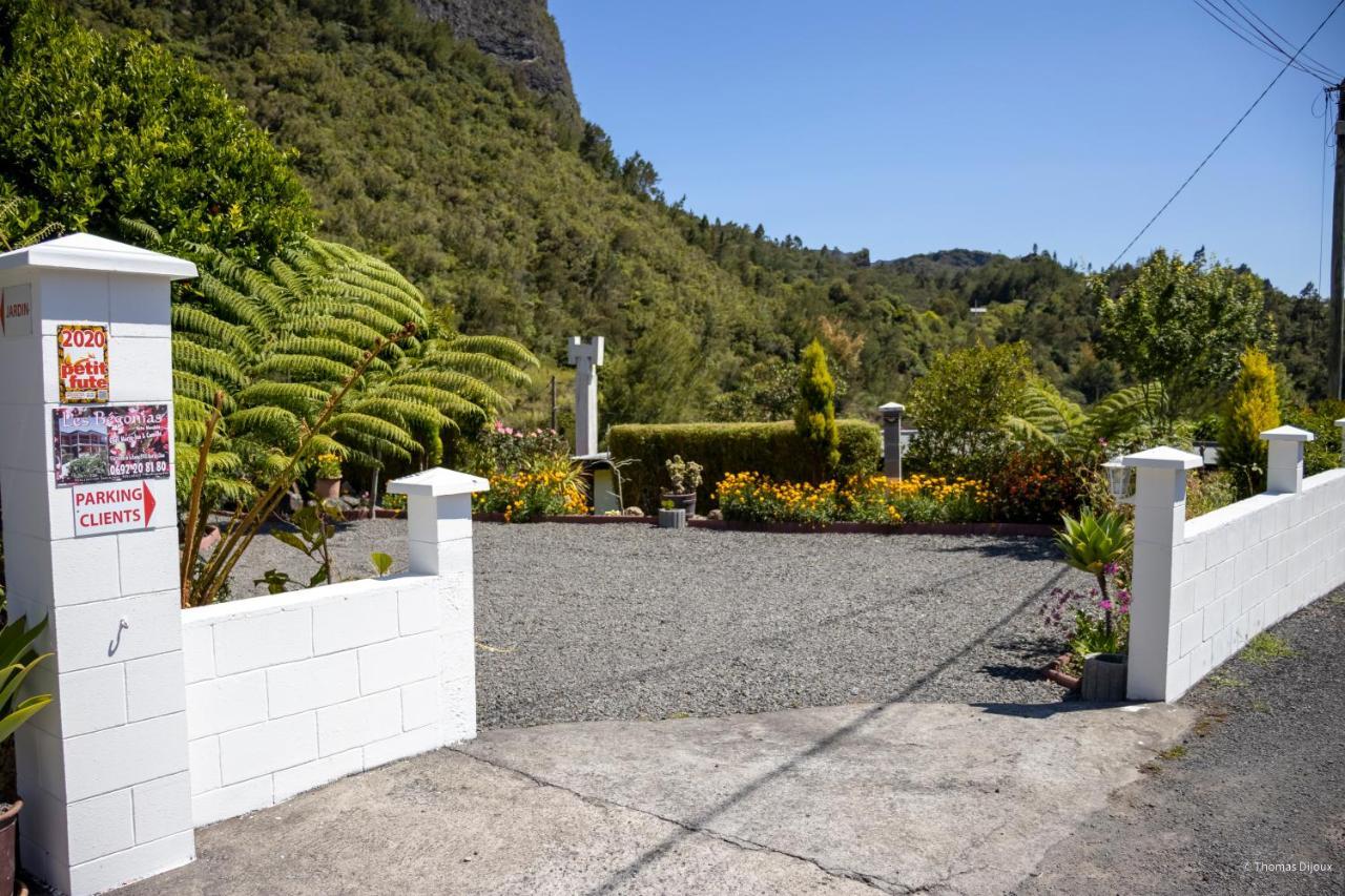 Les Begonias Villa Cilaos Exteriör bild
