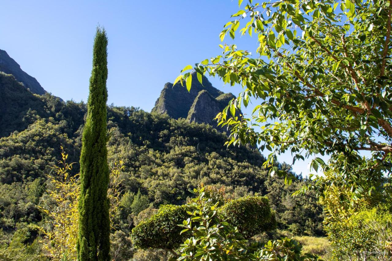 Les Begonias Villa Cilaos Exteriör bild