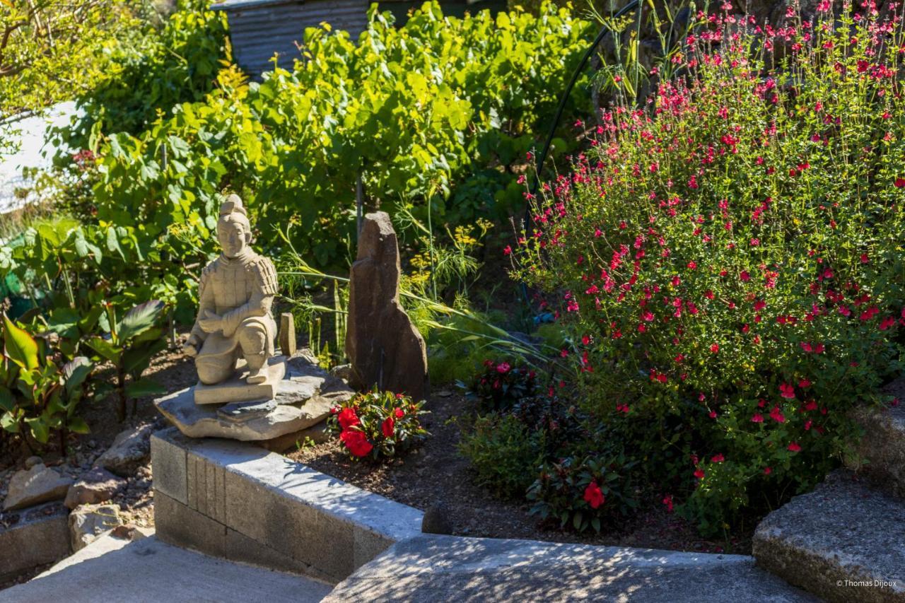 Les Begonias Villa Cilaos Exteriör bild