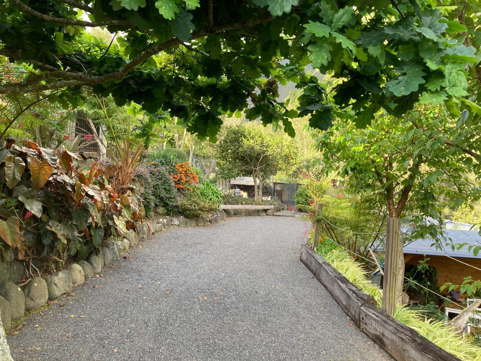 Les Begonias Villa Cilaos Exteriör bild