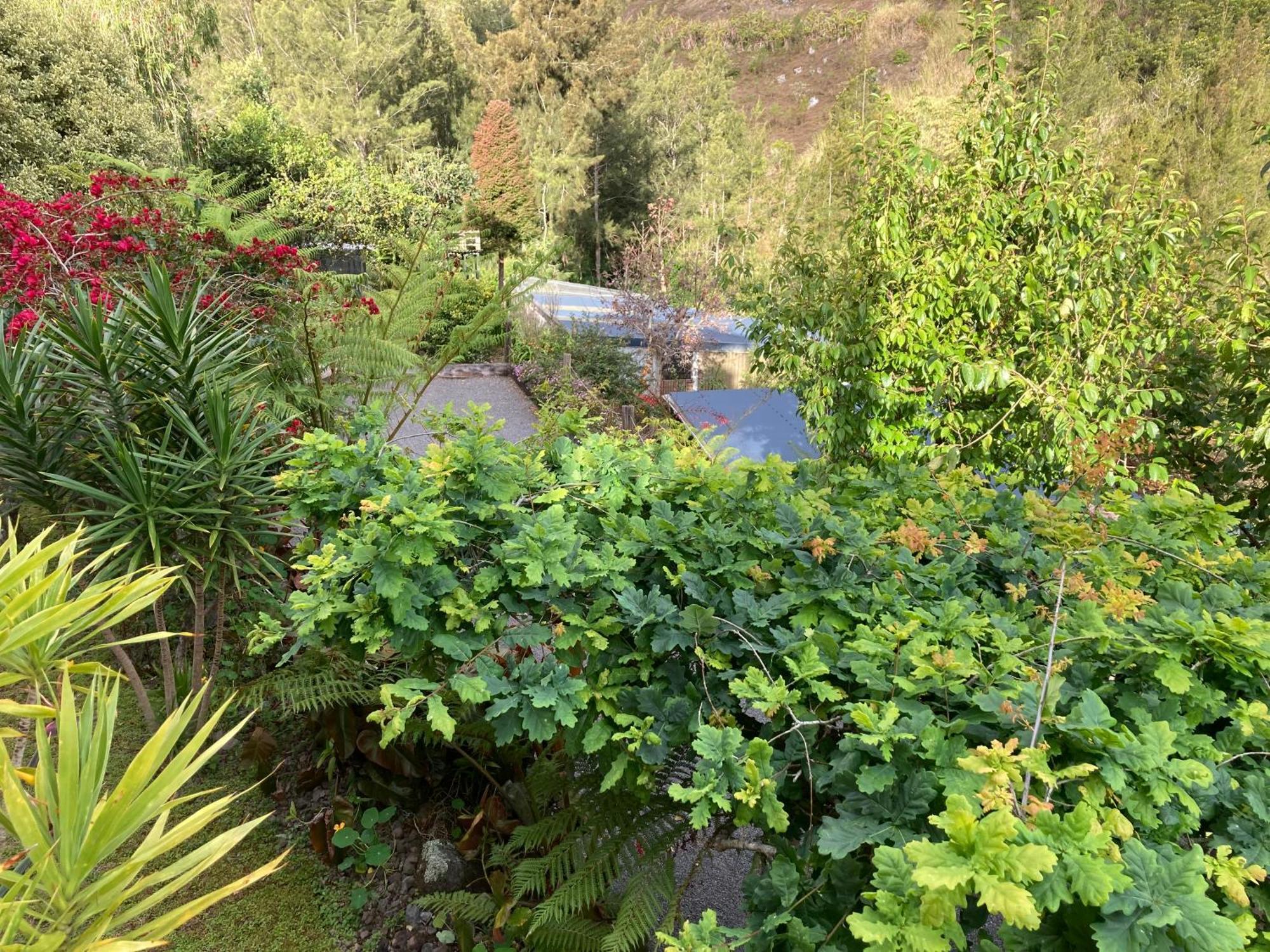 Les Begonias Villa Cilaos Exteriör bild