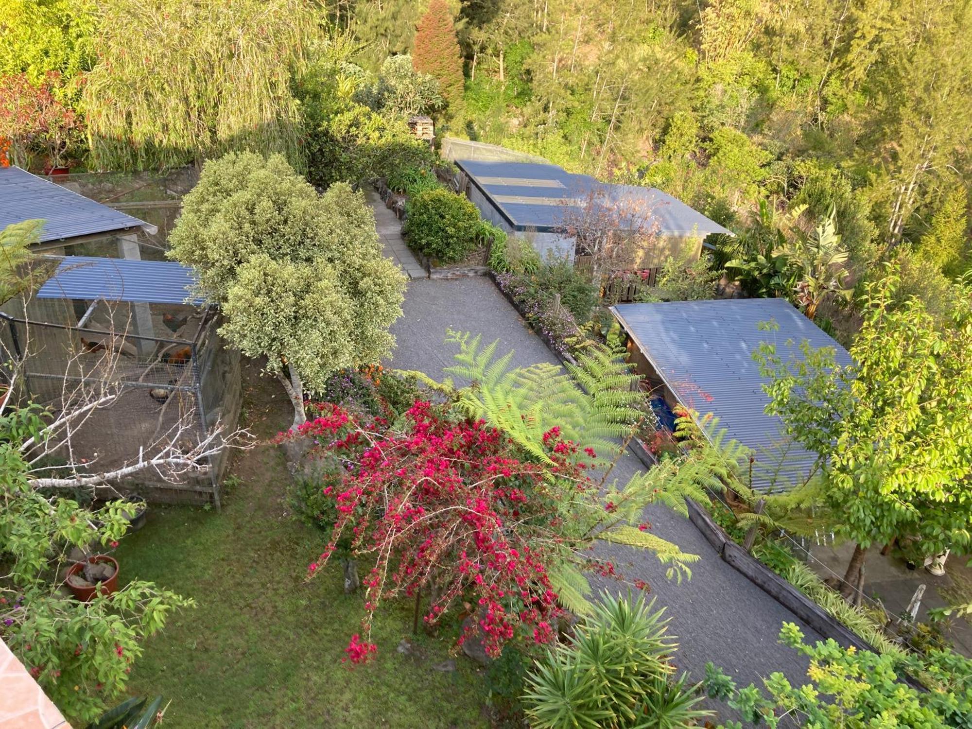Les Begonias Villa Cilaos Exteriör bild