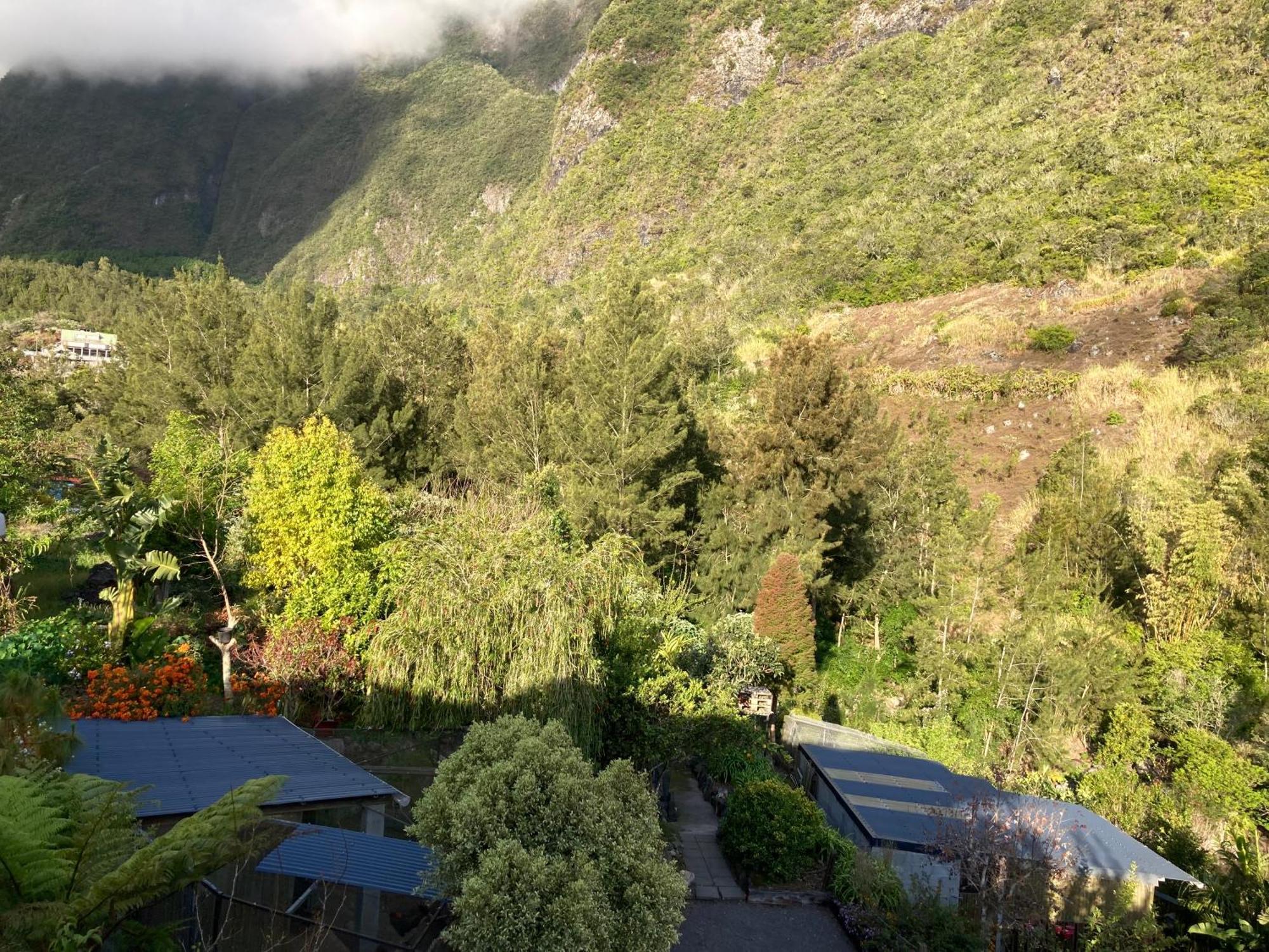 Les Begonias Villa Cilaos Exteriör bild