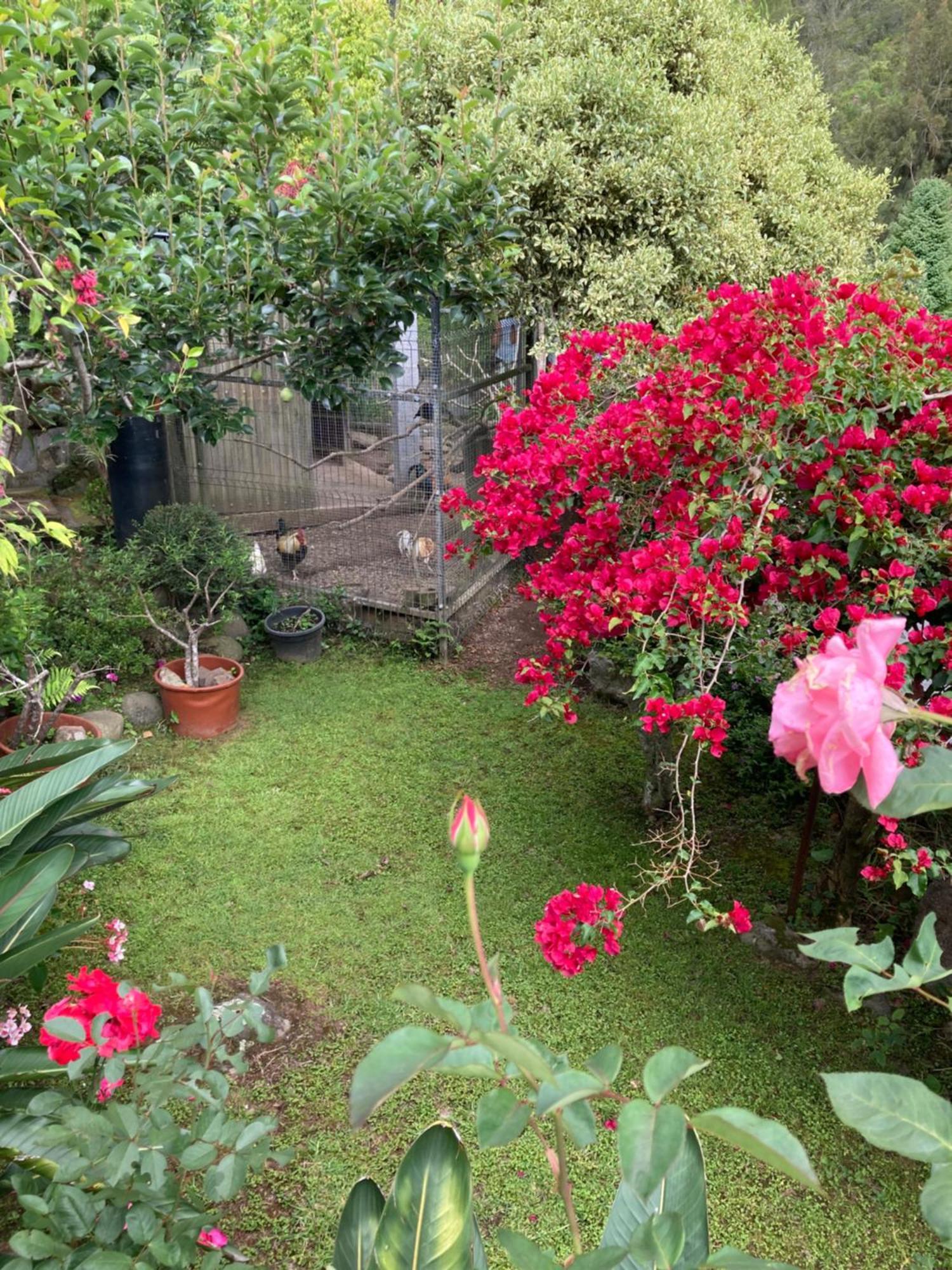 Les Begonias Villa Cilaos Exteriör bild