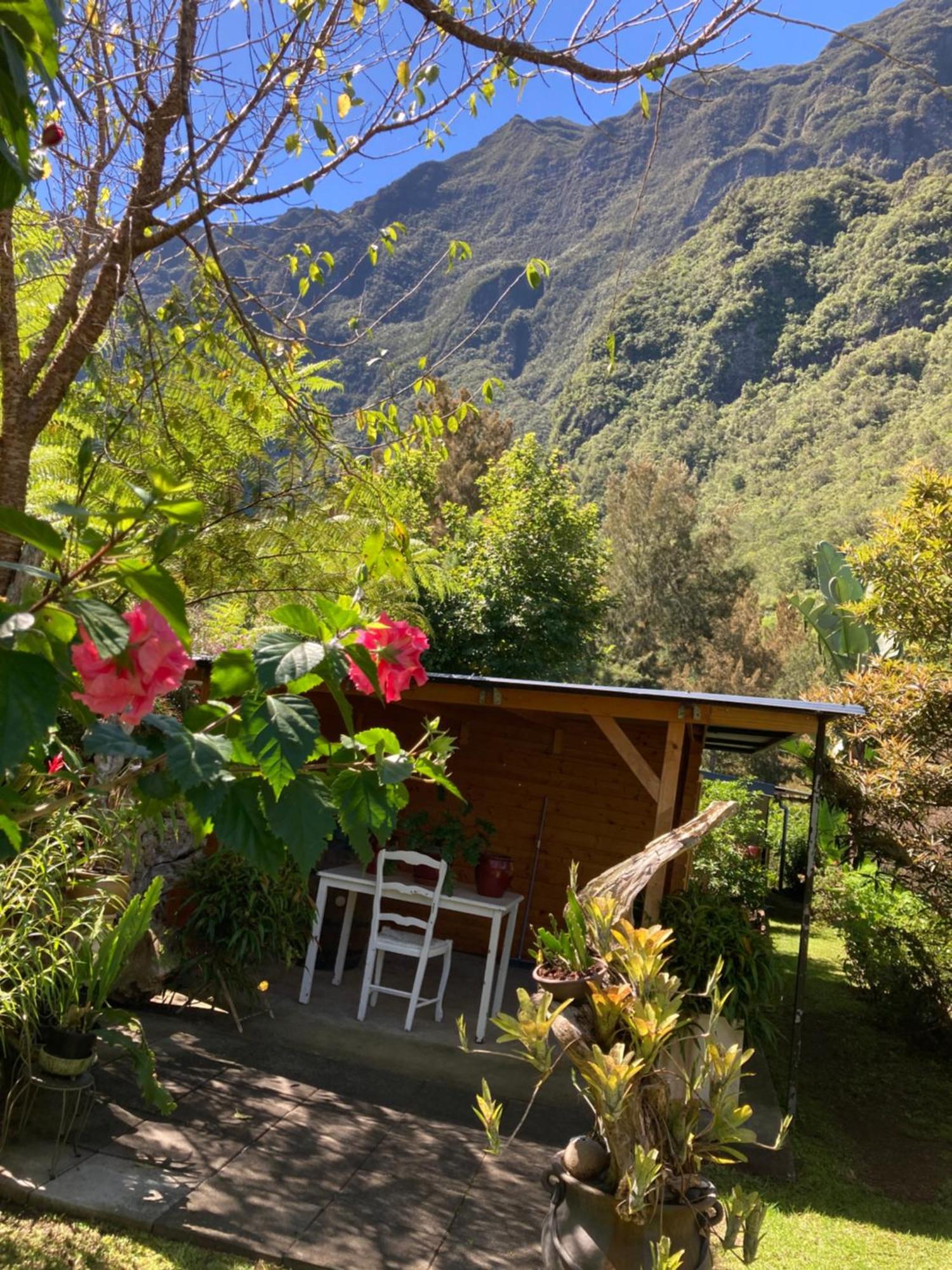 Les Begonias Villa Cilaos Exteriör bild