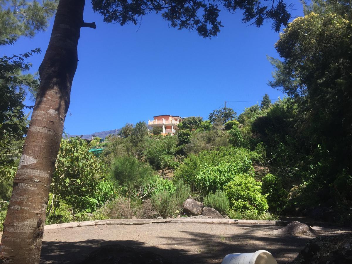 Les Begonias Villa Cilaos Exteriör bild